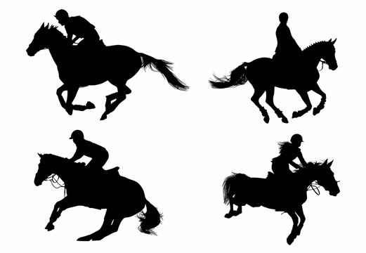 equitacion, carrera, pegatina, competencia, caballo, equestre, vectores, galope, yeguas, jinete