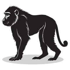 Baboon silhouettes and icons. Black flat color simple elegant white background Baboon animal vector and illustration.