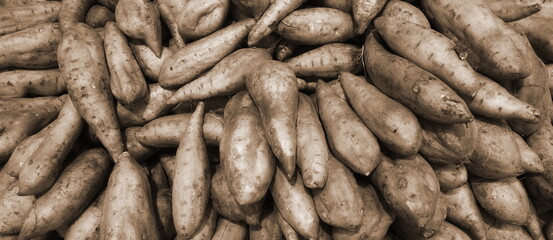 Pile Of Fresh Sweet Potatoes Close-Up Sepia Tone
