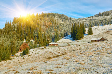 Fototapety na wymiar - Fototapeta24.pl