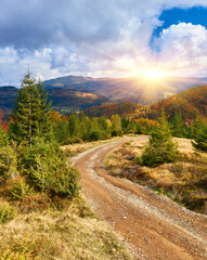 dirt road leading through an autumn forrest. Fall in the woods, colorful trees and a muddy road.