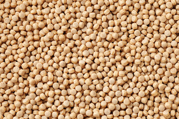 Giant or Pearl Wholewheat Couscous background, texture
