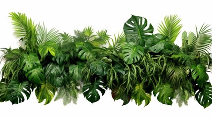 An image showcasing a dense and vibrant collection of lush green tropical leaves against a clean, white backdrop, evoking feelings of nature's abundance and tranquility.