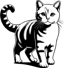 cat vector