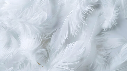Obraz premium Bright white feather texture Overhead top view flat lay Copy space Birthday card Mothers Valentines Womens Wedding Day concept Selective focus : Generative AI
