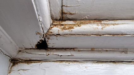 Close up of a damage to an old wooden framed window