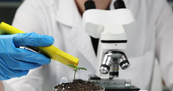 Chemist determines state of soil acidity with professional pH meter device. Woman in work uniform grows drugs for medical purpose in laboratory slow motion