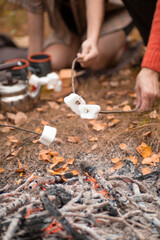 Close-up shot of several people roasting marshmallows on fire on a wood fire in a nature during sunset