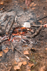 Close-up shot roasting marshmallows on fire on a wood fire in autumn picnic