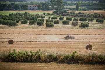 Hay bales tractor at work with cattle egret birds