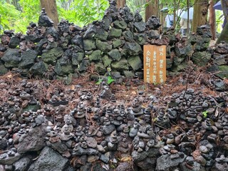 A view of the Saryeoni Forest Path of Jeju Island in korea