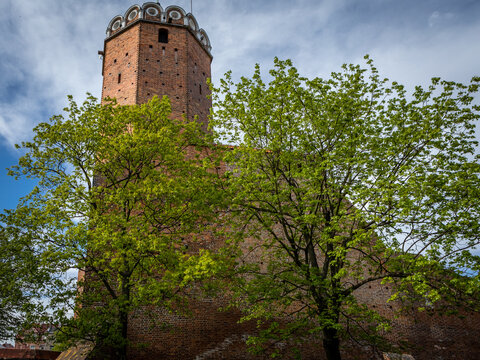 Leczyca, Poland - May 10, 2021:
A medieval royal castle, surrounded with green trees. Sunny spring day. No people. 