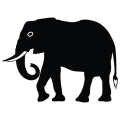 Fototapeta premium elephant illustration