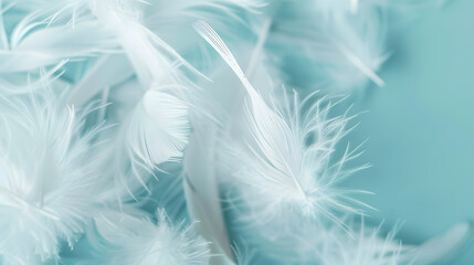 Obraz premium White fluffy feathers on pale teal blue background Fashion Color Trends Spring Summer 2016 soft focus : Generative AI