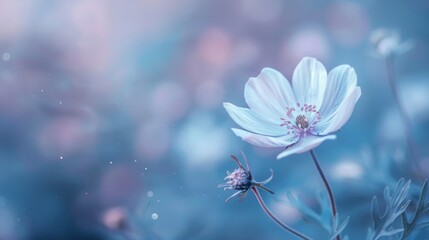 Obraz premium Delicate Flower in Pastel Hues