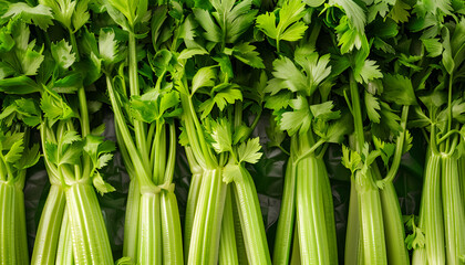 Obraz premium Many fresh green celery bunches as background, top view