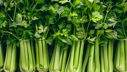 Obraz premium Many fresh green celery bunches as background, top view