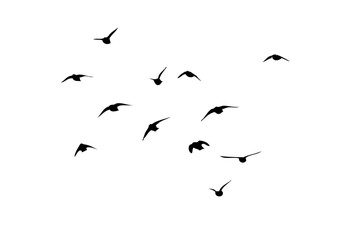 Flying birds silhouette flock. hand drawing. Not AI, Vector illustration