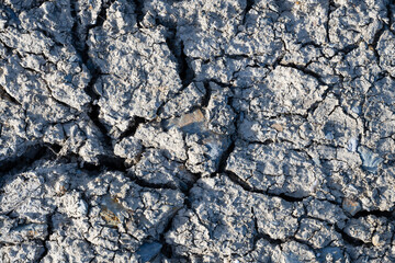 Detailed close-up of cracked dry earth, illustrating the effects of drought and harsh environmental conditions.
