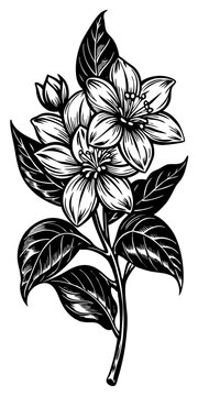 black and white flower