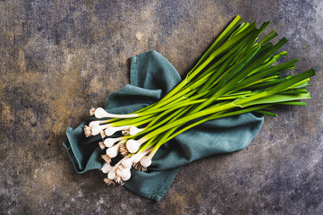 Close up of stems of fresh sweet garleek on a cloth on the table top view