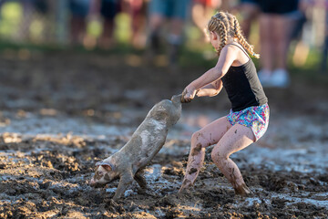 pig tails vs pig