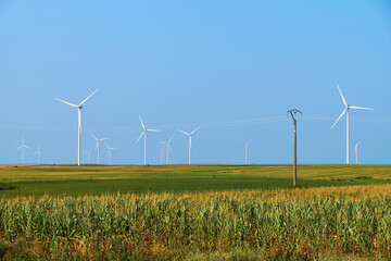 Electricity generating station. Alternative Energy Windmill Farm. Wind turbines standing tall in a field of corn under a clear blue sky, showcasing renewable energy and sustainable agriculture.