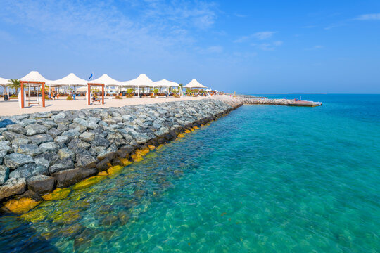 Cruise ship passengers and tourists enjoy the sandy beach at the touristic resort and wildlife sanctuary of Sir Bani Yas island, Abu Dhabi, UAE.