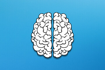 Human brain made of paper isolated on blue background