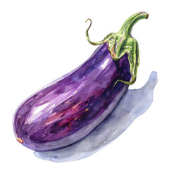 Watercolor illustration of a purple eggplant with a green stem on a white background, showcasing vibrant colors and detailed textures.