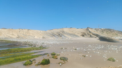 A serene beach scene with moss-covered rocks in the foreground, leading to sandy shores and distinctive layered cliffs under a clear blue sky