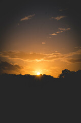 sunset next to a forest