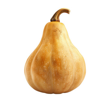 A close-up of a uniquely shaped, golden-yellow gourd isolated on a white background, perfect for autumn and harvest-themed projects.