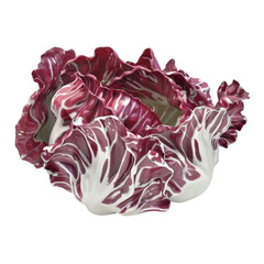 Fototapeta premium Close-up of fresh radicchio lettuce with vibrant purple and white leaves. Perfect for healthy eating and salad illustrations.