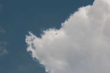 white thunderclouds in blue sky. summer cumulus clouds before rain. Beautiful view of nature and sky abstract background. photos of nature, elements, weather