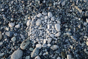 海で白い石を集めてみた