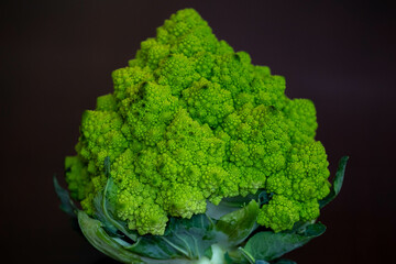 Broccoli of the romanesco variety Brassica oleracea 'Romanesco'