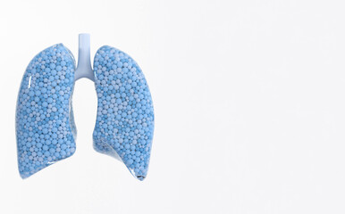 Human respiratory system anatomy concept. Healthy lungs. World Tuberculosis day, lung cancer day. 3d rendering