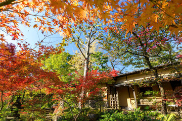 各所に茶室が点在している。
都会の庭園の池の畔の美しい紅葉。
日本国東京都港区 - 2021年12月4日
