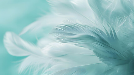 Fototapeta premium White fluffy feathers on pale teal blue background Fashion Color Trends Spring Summer 2016 soft focus : Generative AI