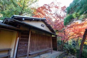 各所に茶室が点在している。
都会の庭園の池の畔の美しい紅葉。
日本国東京都港区 - 2021年12月4日
