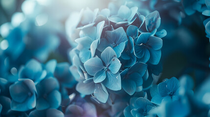 Blue hydrangea flowers in the garden in summer closeup soft selective focus : Generative AI