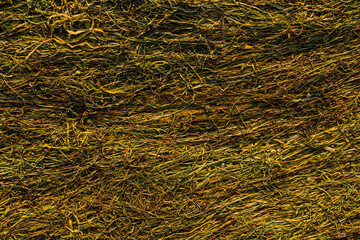 Texture of cut tobacco leaves, High quality dried cut tobacco leaves