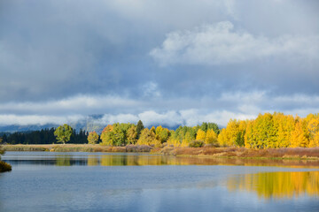 Fototapeta premium Autumn Majesty: The Teton Range in Fall Splendor