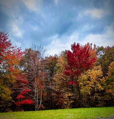 Naklejka premium autumn in the park