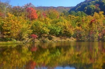 のりくら高原の秋景色