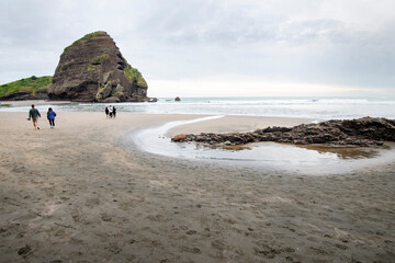 Piha Beach - New Zealand