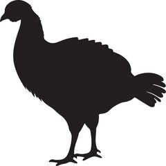 Turkey Silhouette Vector Illustration White Background