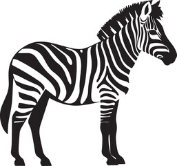 Zebra Silhouette Vector Illustration White Background