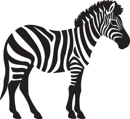 Zebra Silhouette Vector Illustration White Background